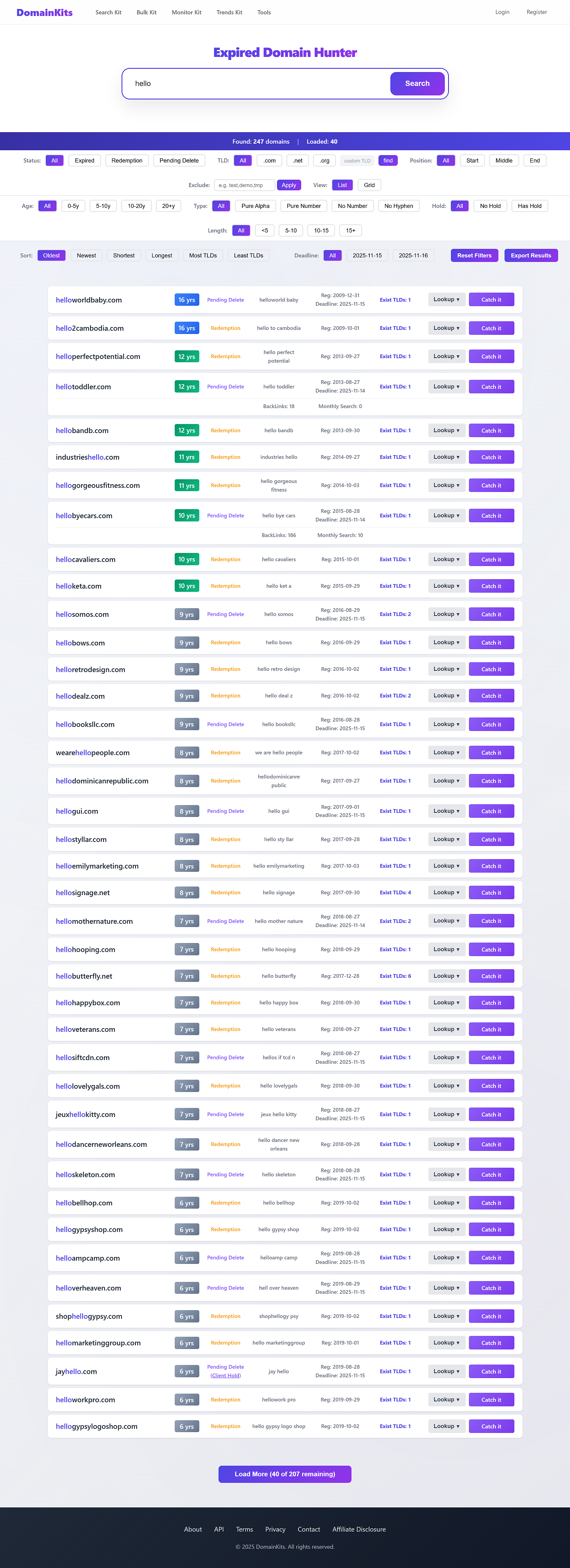 Expired Domain Hunter interface